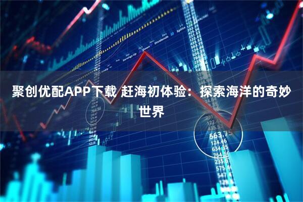 聚创优配APP下载 赶海初体验：探索海洋的奇妙世界
