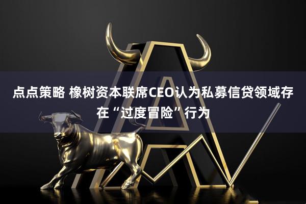 点点策略 橡树资本联席CEO认为私募信贷领域存在“过度冒险”行为