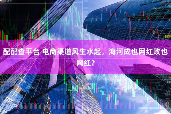 配配查平台 电商渠道风生水起，海河成也网红败也网红？