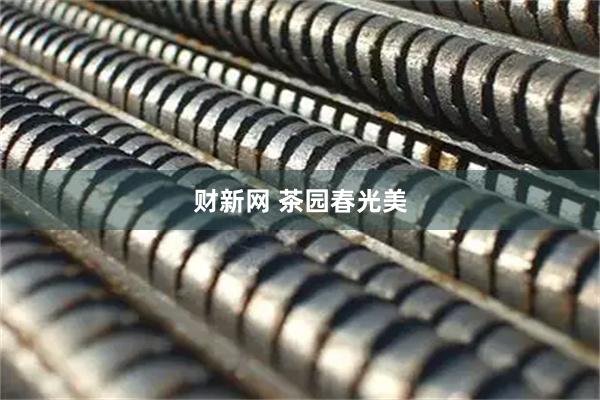 财新网 茶园春光美