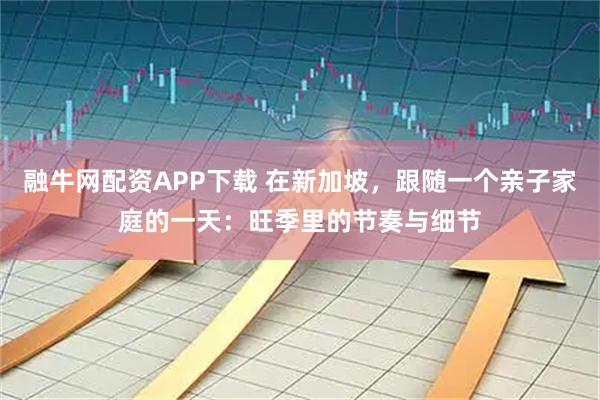 融牛网配资APP下载 在新加坡，跟随一个亲子家庭的一天：旺季里的节奏与细节