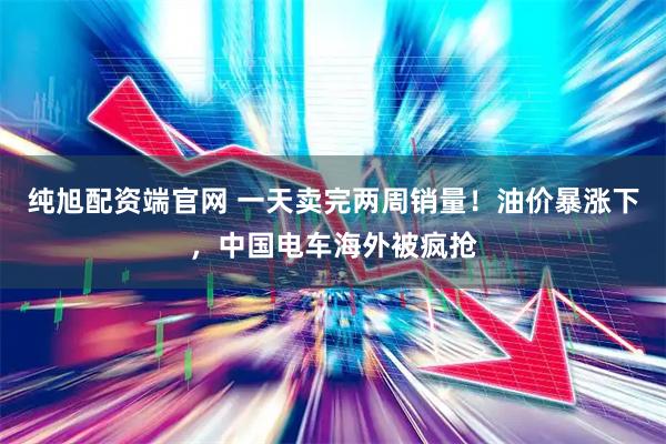 纯旭配资端官网 一天卖完两周销量！油价暴涨下，中国电车海外被疯抢